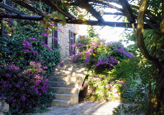 Unterkunft (Finca) Mallorca